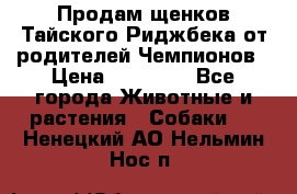 Продам щенков Тайского Риджбека от родителей Чемпионов › Цена ­ 30 000 - Все города Животные и растения » Собаки   . Ненецкий АО,Нельмин Нос п.